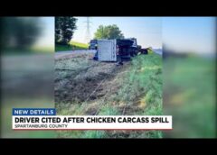 Driver cited after chicken carcass spill